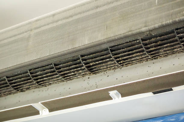 Best Residential Air Duct Cleaning in White Meadow Lake, NJ