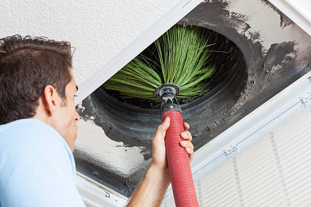 Best Mold and Mildew Removal from Ducts in White Meadow Lake, NJ